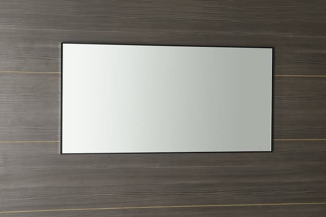 AROWANA lustro w ramie, 100x50cm, czarny mat