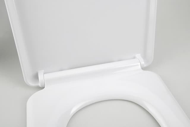 LENA deska WC, Soft Close, Easy Take, antybakterialna, biały