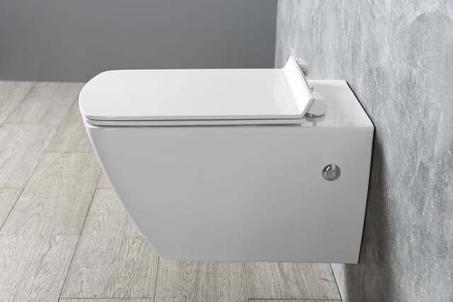 PURITY deska WC, SLIM, Soft Close, biała