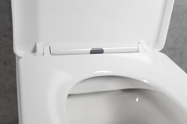 LEON deska WC, Slim, Soft Close, Easy Take, biały