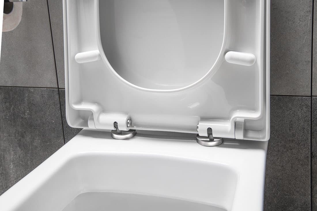 DONA deska WC, Soft Close, Easy Take, biały